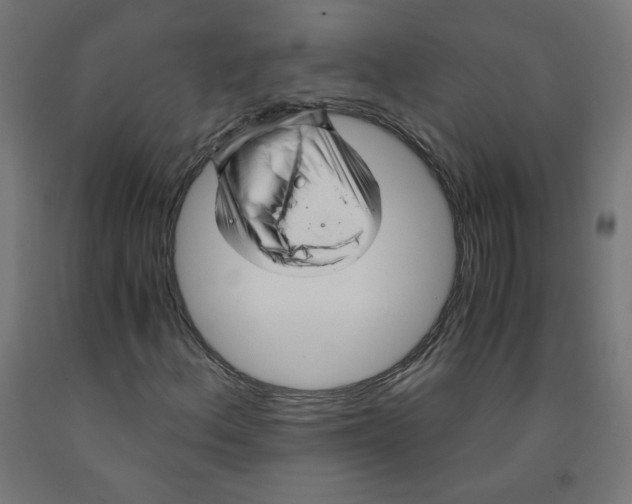 X0000091901156200710031817