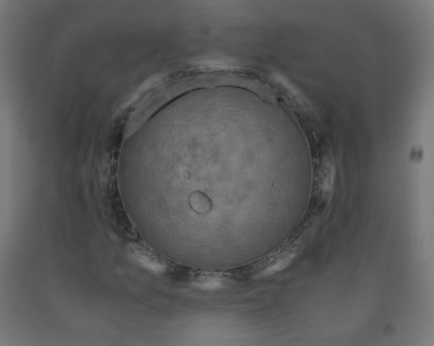 X0000091901157200710031817