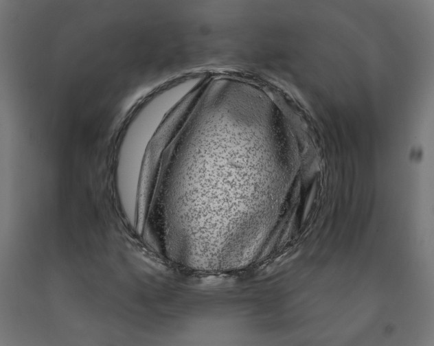 X0000091901160200710031817