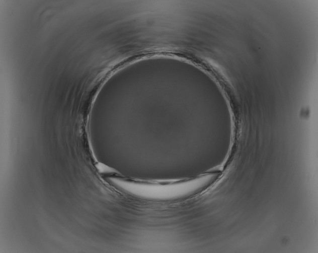 X0000091901161200710031816