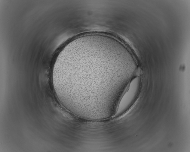 X0000091901163200710031816