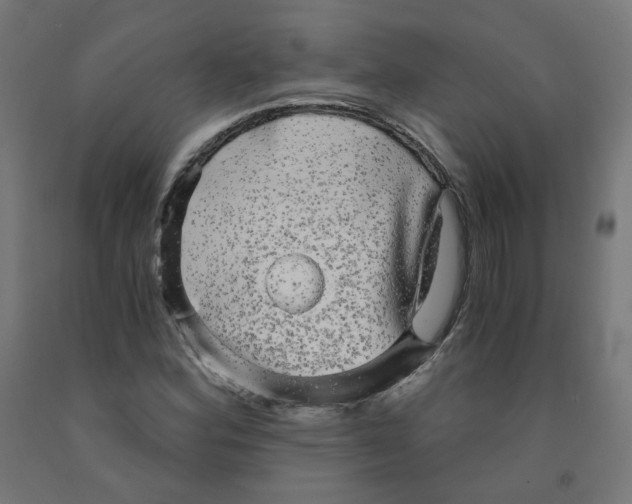 X0000091901164200710031816