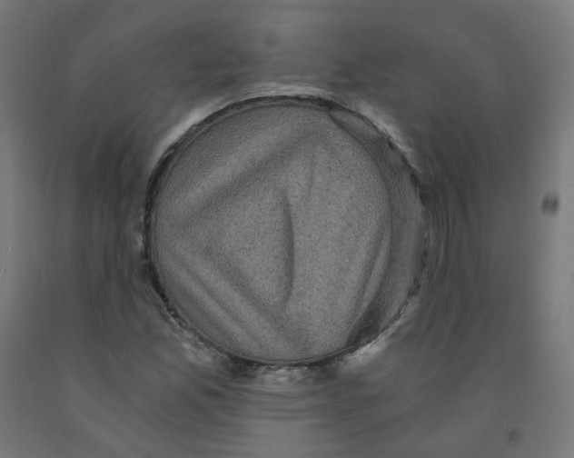 X0000091901165200710031816