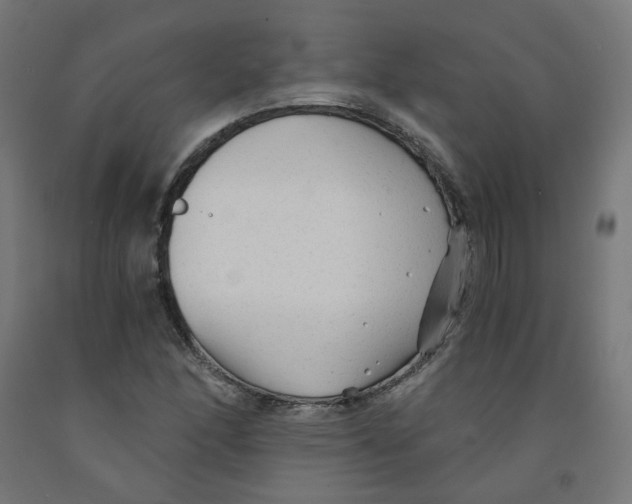 X0000091901166200710031816