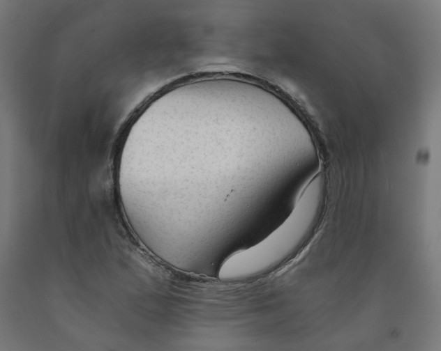 X0000091901167200710031816