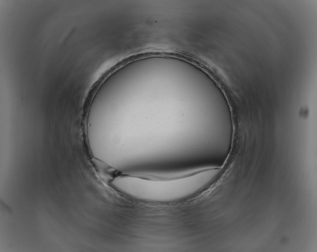 X0000091901168200710031816