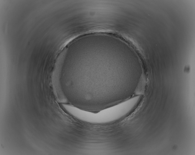 X0000091901169200710031816