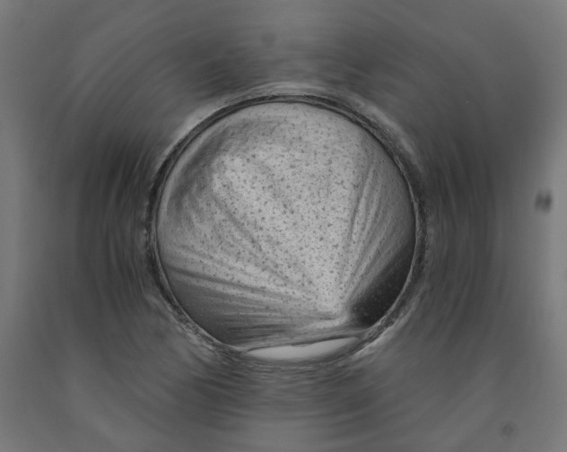 X0000091901170200710031816