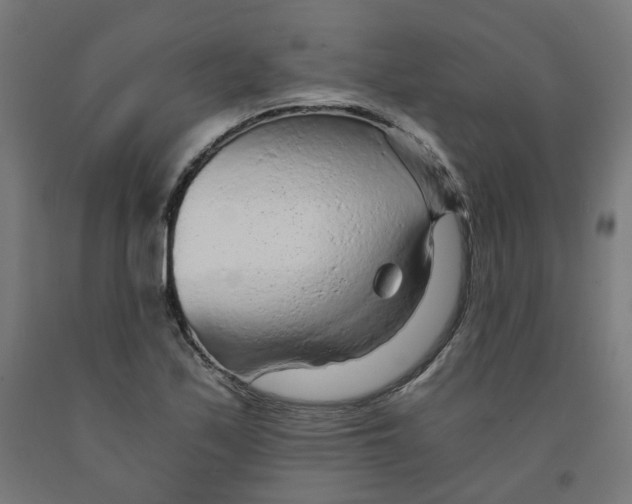 X0000091901171200710031816