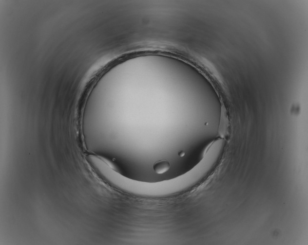 X0000091901172200710031816