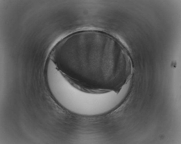 X0000091901173200710031816