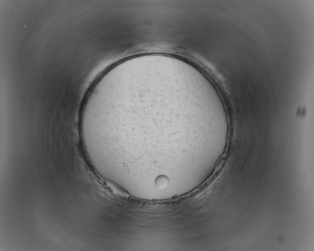 X0000091901174200710031816