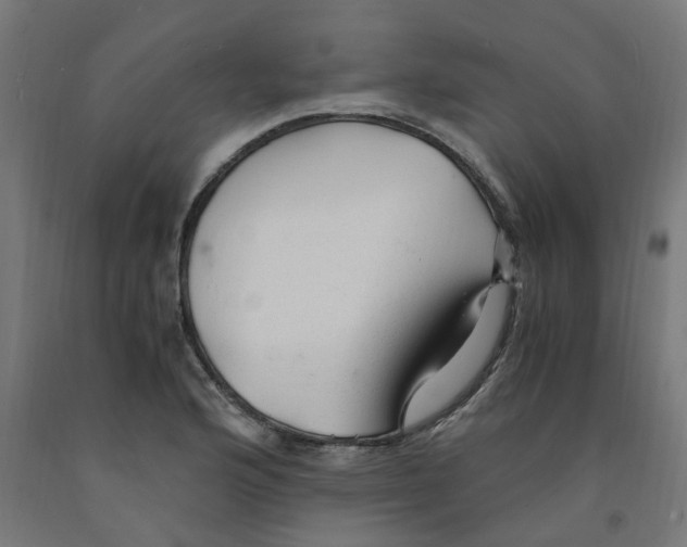 X0000091901176200710031816