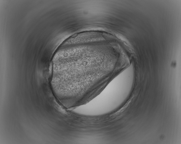 X0000091901177200710031816