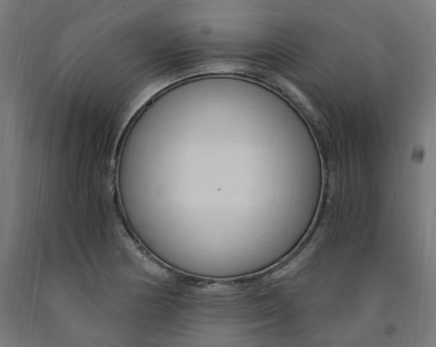 X0000091901178200710031816