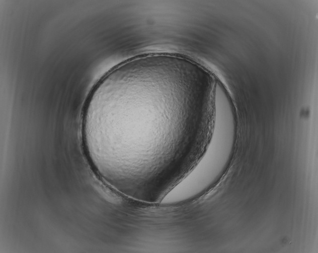 X0000091901179200710031816