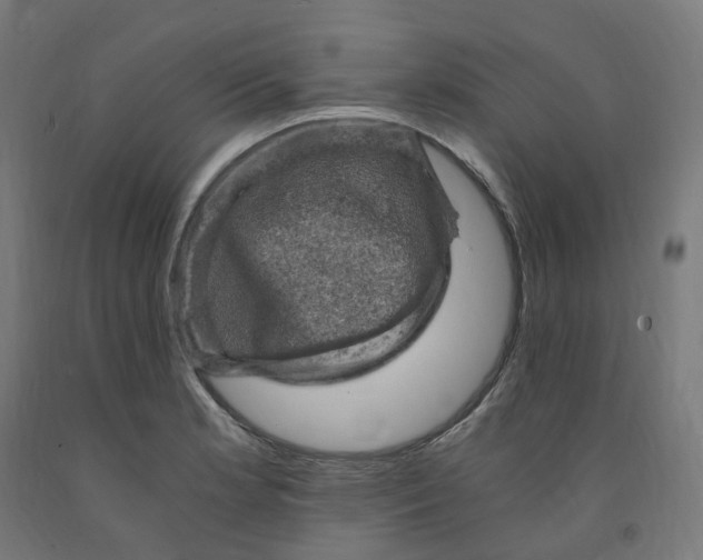 X0000091901181200710031816