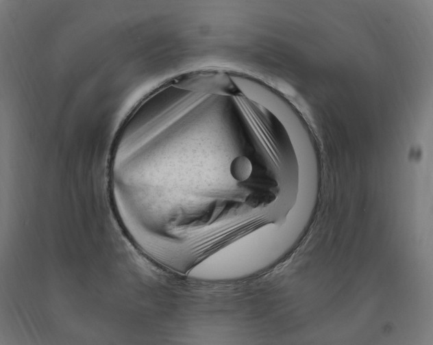 X0000091901183200710031816