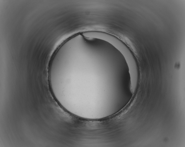 X0000091901184200710031816