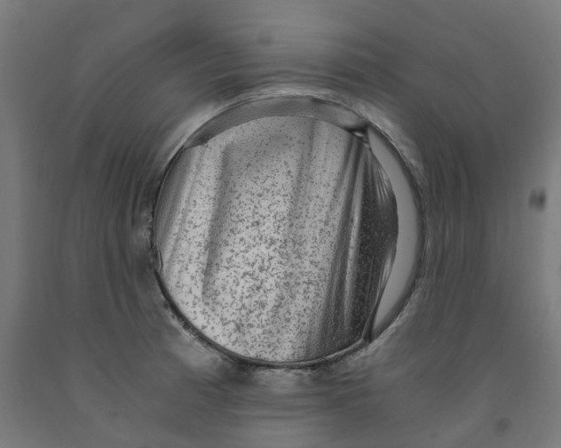 X0000091901185200710031816