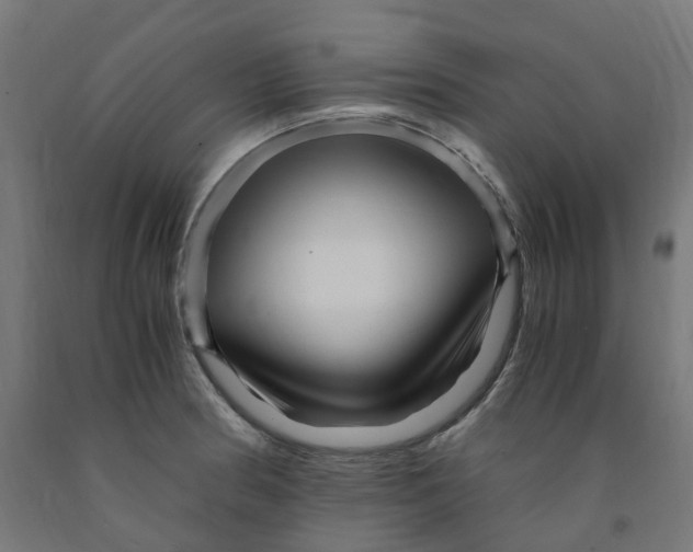 X0000091901186200710031816