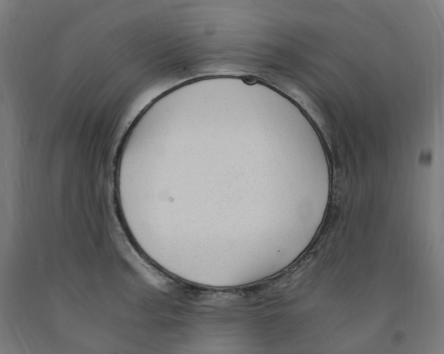 X0000091901187200710031816