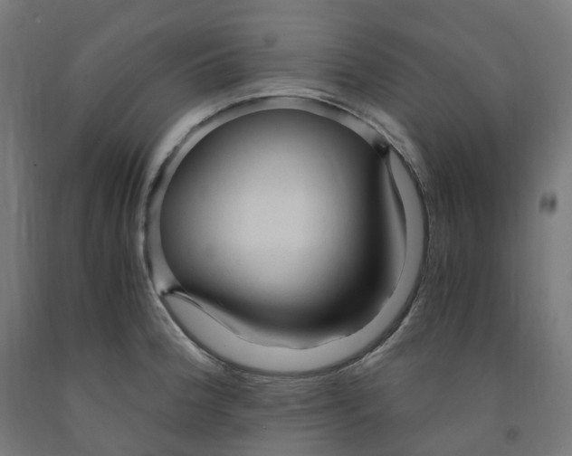 X0000091901188200710031816