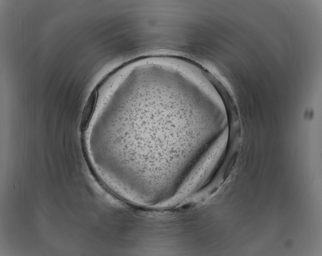 X0000091901189200710031816