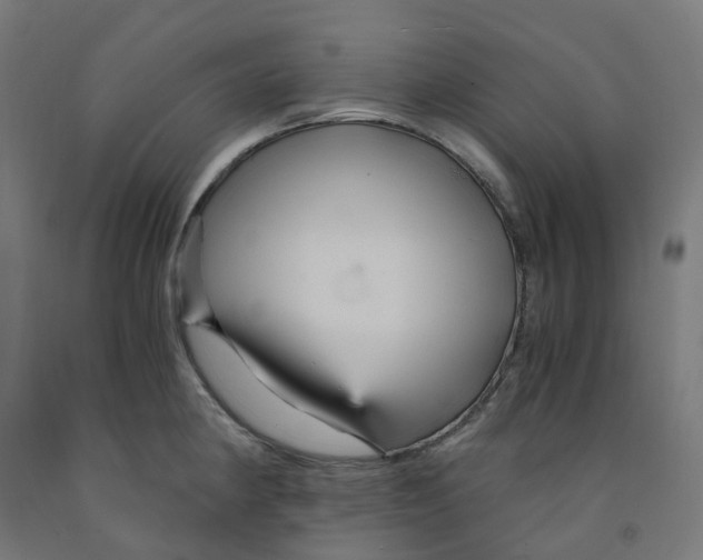 X0000091901190200710031816