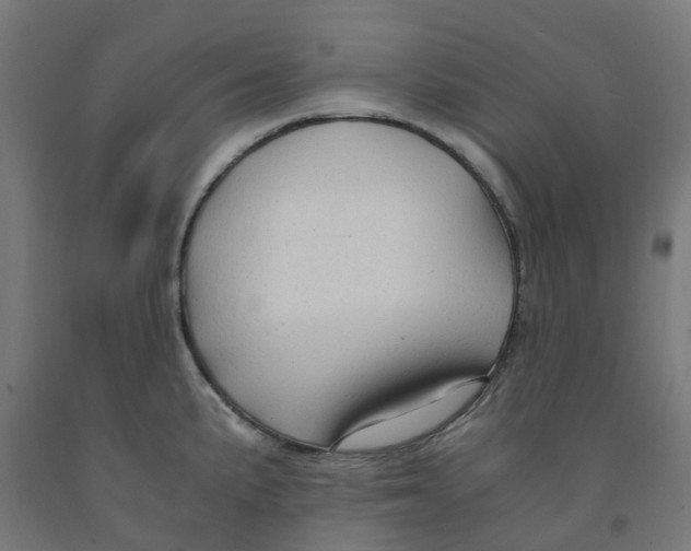 X0000091901191200710031816