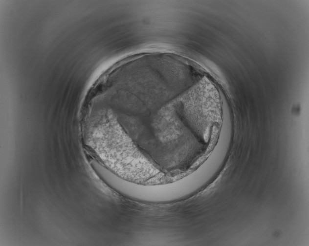 X0000091901192200710031816