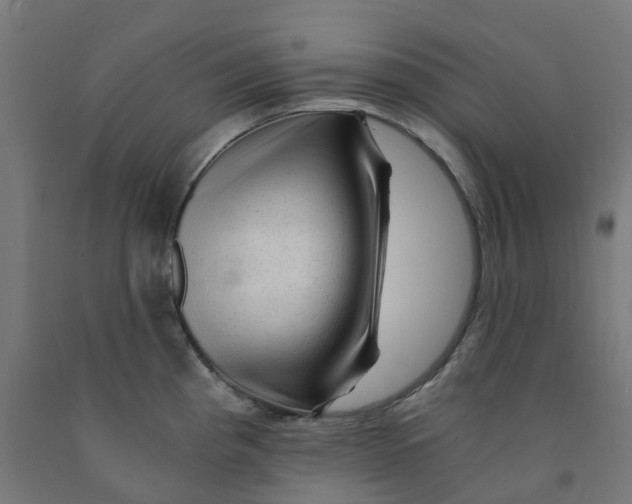 X0000091901193200710031816