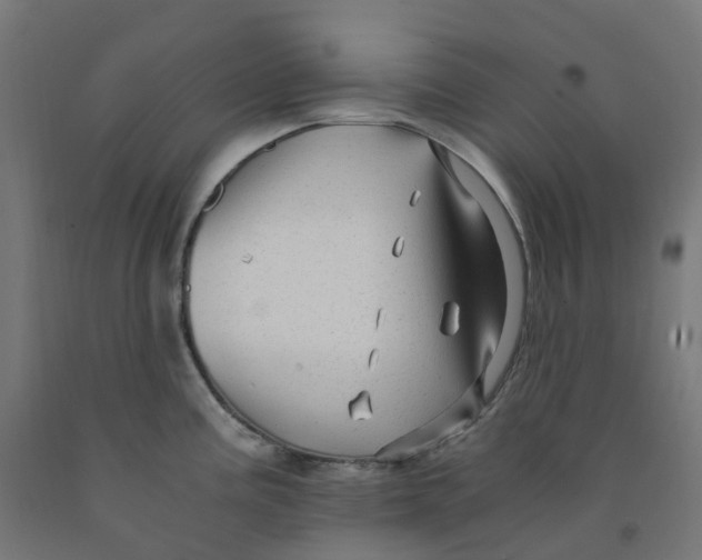 X0000091901195200710031816