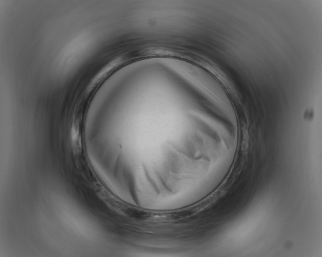 X0000091901198200710031816