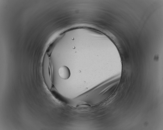 X0000091901199200710031816