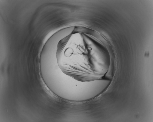 X0000091901200200710031816