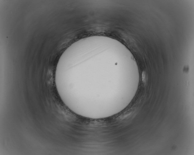 X0000091901203200710031815