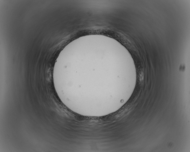 X0000091901204200710031815