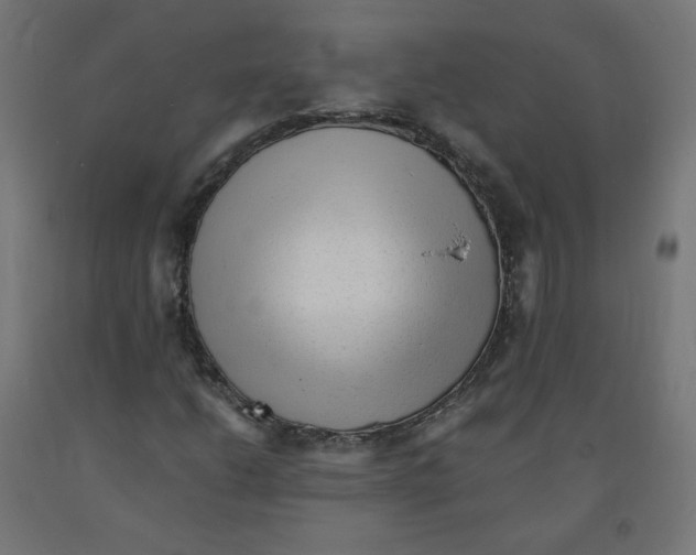 X0000091901206200710031815