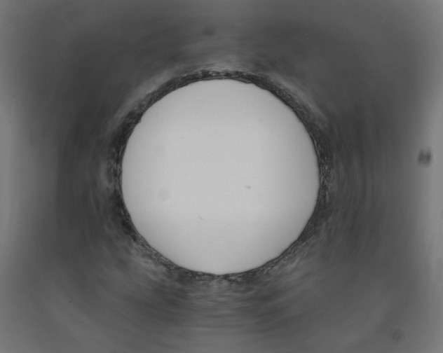 X0000091901207200710031815