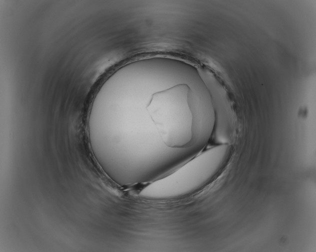 X0000091901210200710031816