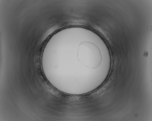 X0000091901211200710031816