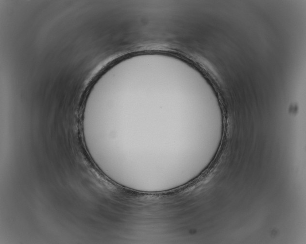 X0000091901212200710031816