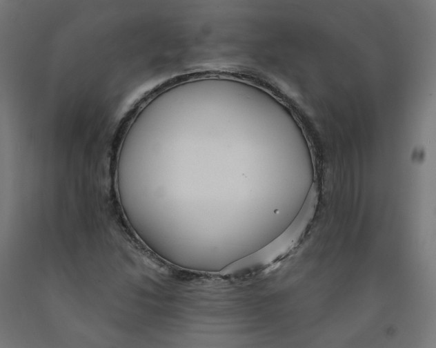 X0000091901214200710031816