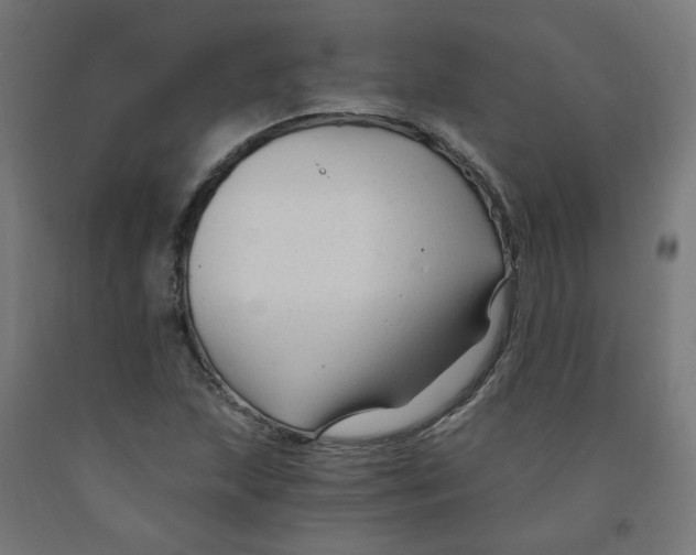 X0000091901215200710031816