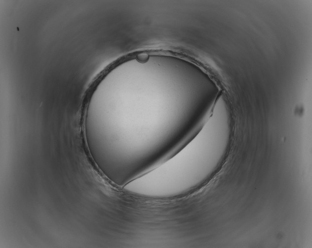 X0000091901216200710031816