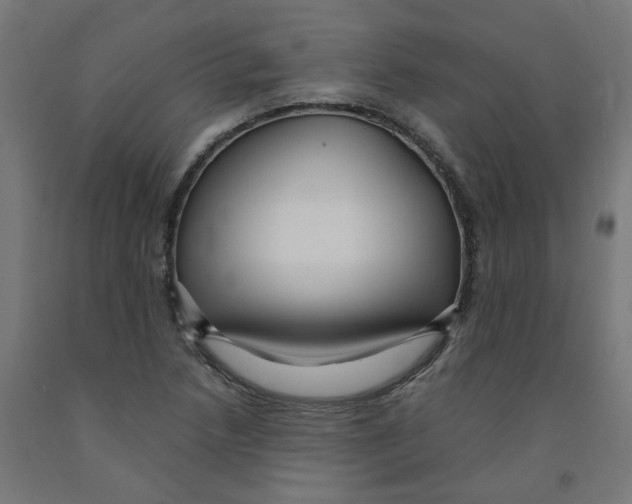 X0000091901218200710031816