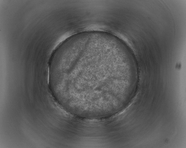 X0000091901219200710031816