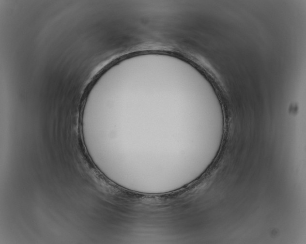 X0000091901220200710031816