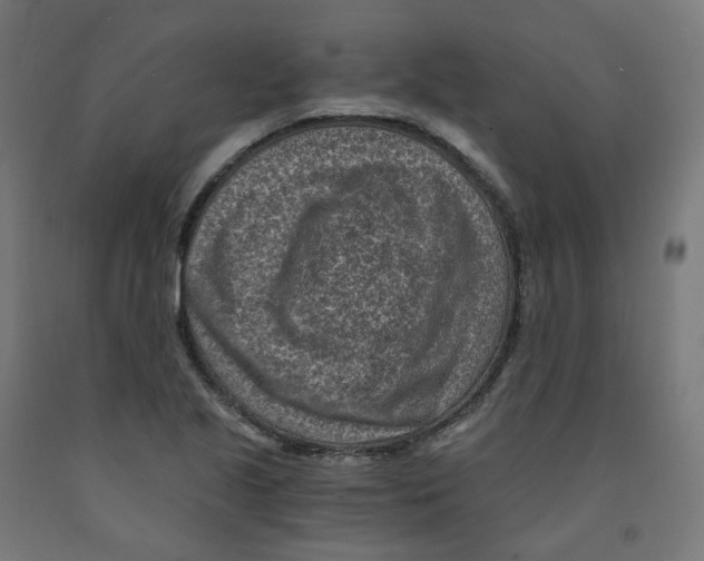 X0000091901221200710031816